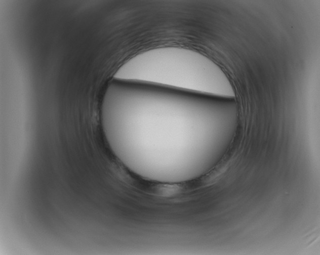 X0000111470085200907131247