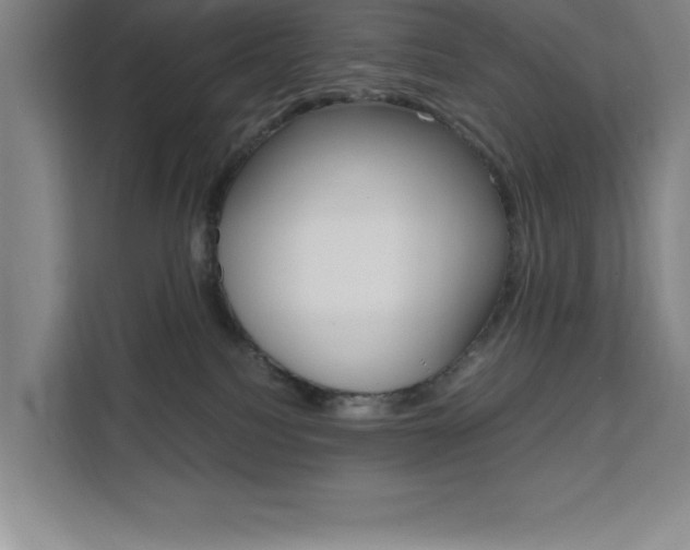 X0000111470088200907131247