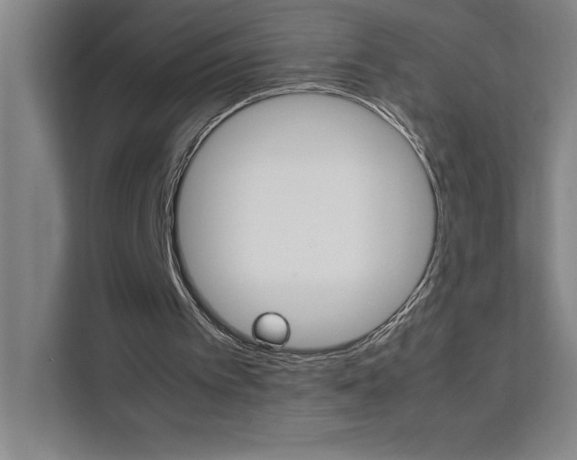 X0000111470097200907131246