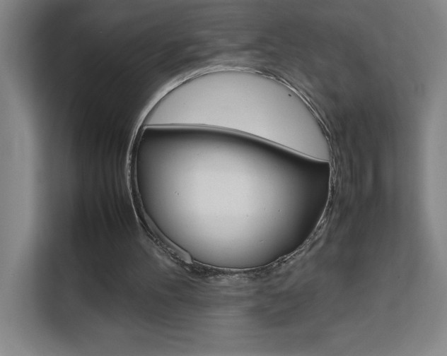 X0000111470100200907131246