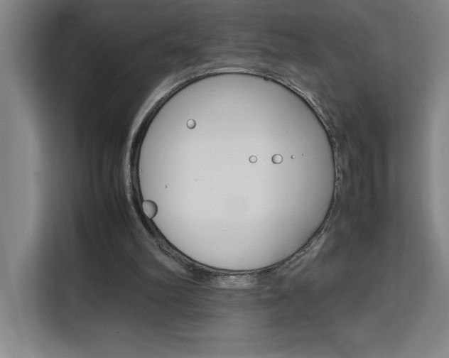 X0000111470102200907131246