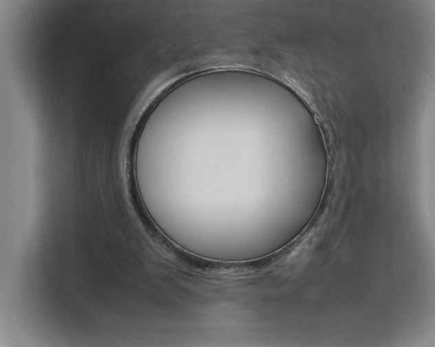 X0000111470103200907131246