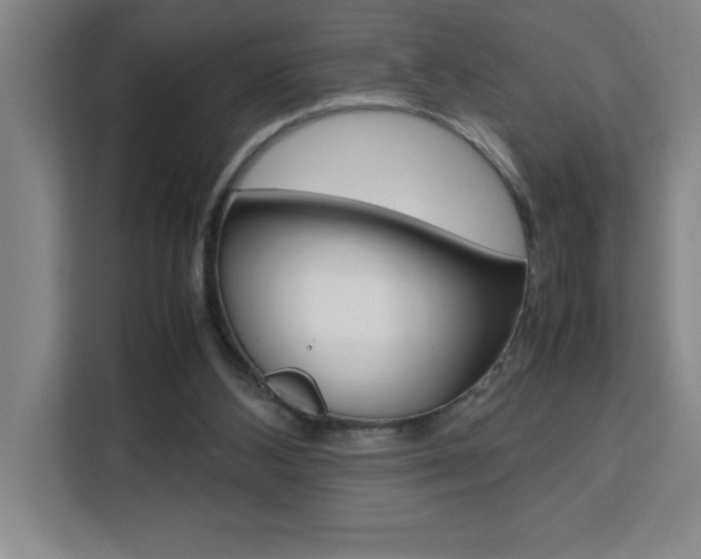 X0000111470108200907131246
