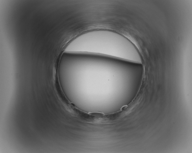 X0000111470109200907131246