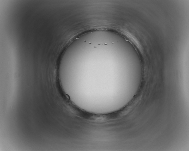 X0000111470113200907131246