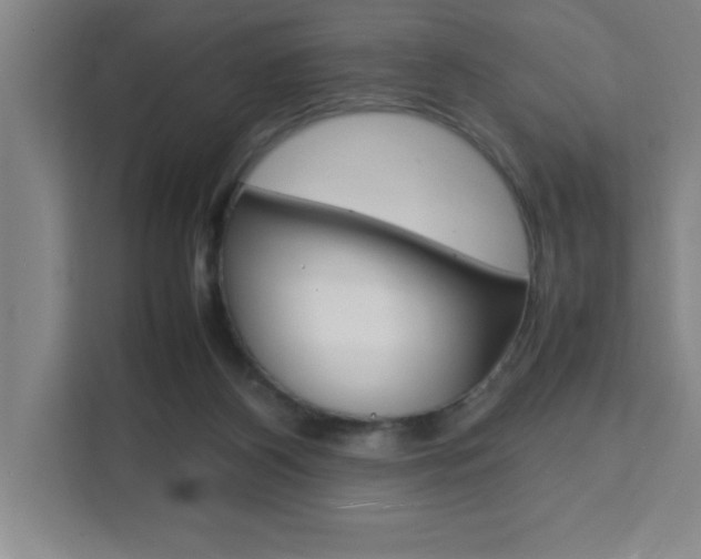 X0000111470116200907131246