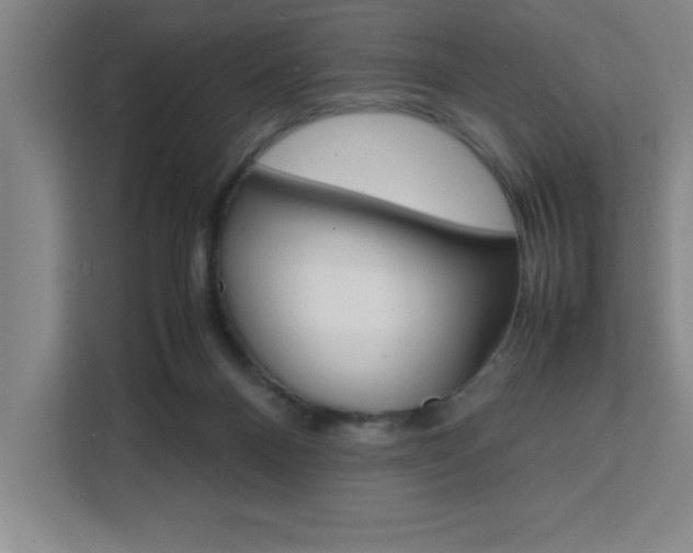 X0000111470120200907131246