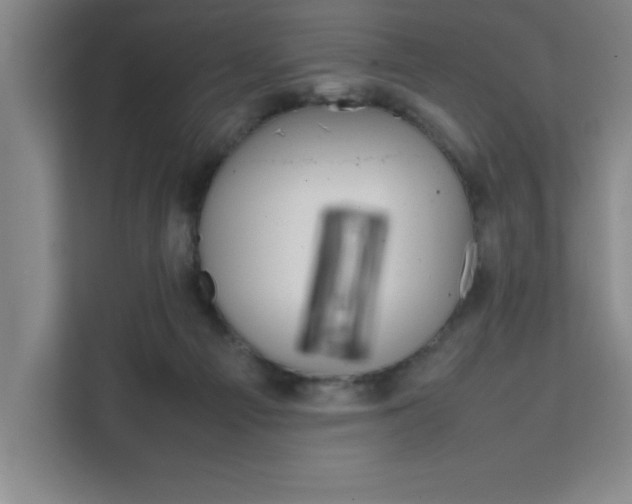 X0000111470121200907131246