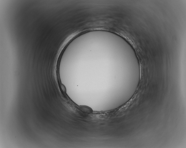 X0000111470147200907131245