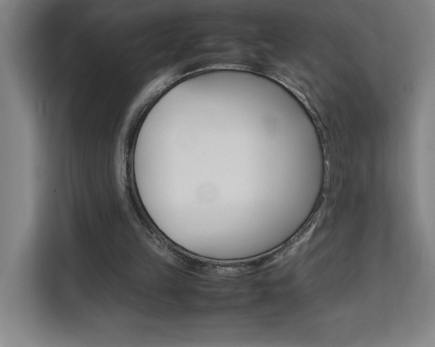 X0000111470149200907131245