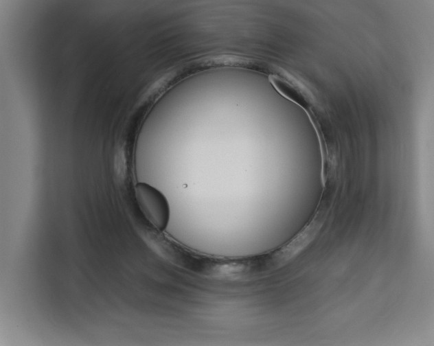 X0000111470158200907131245