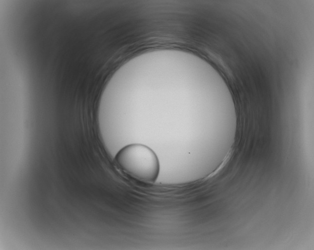 X0000111470170200907131245