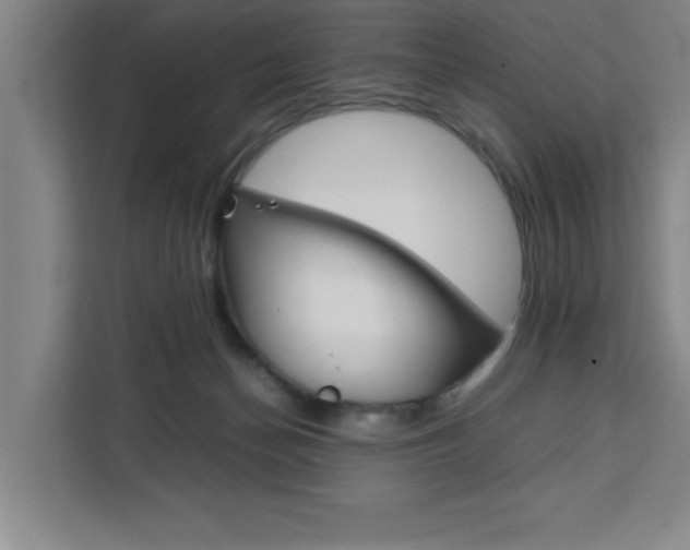 X0000111470174200907131245