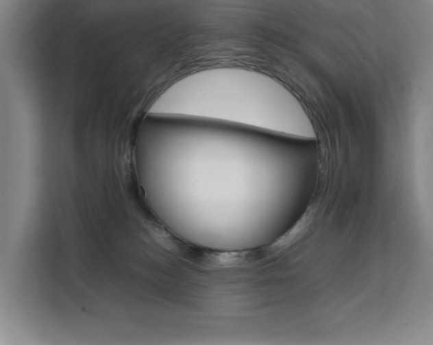 X0000111470184200907131246