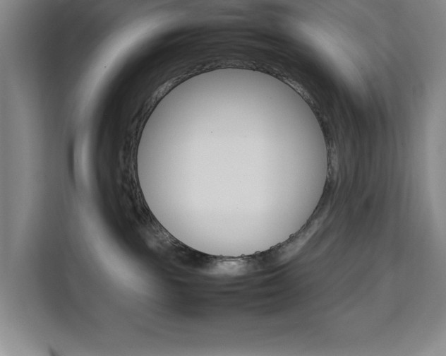 X0000111470189200907131246