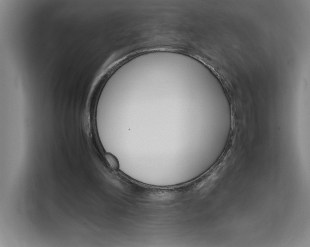 X0000111470198200907131245