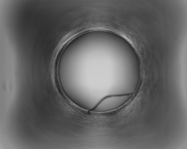 X0000111470199200907131245