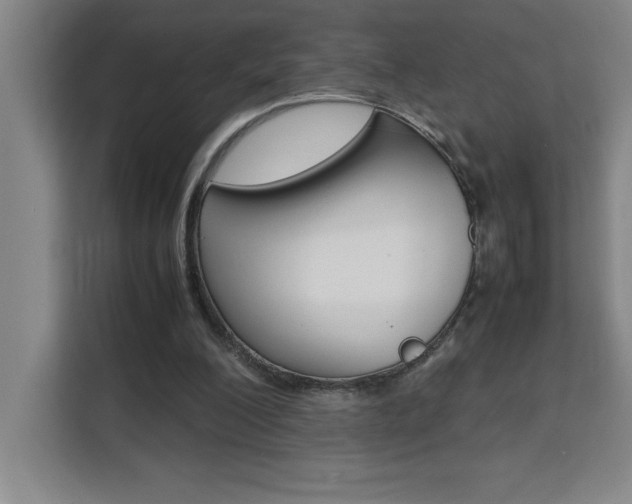 X0000111470200200907131245