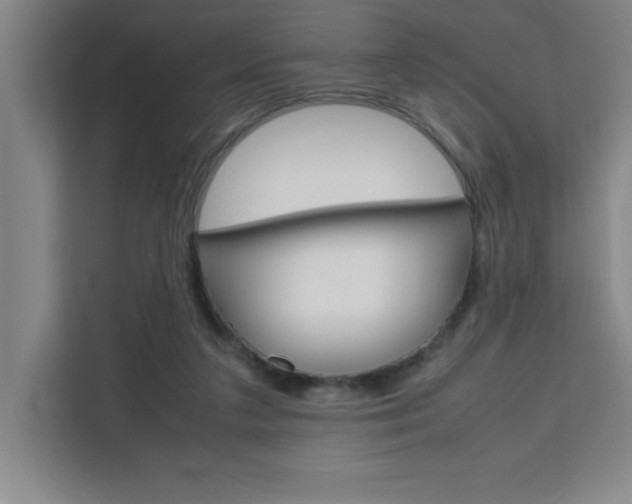 X0000111470211200907131245