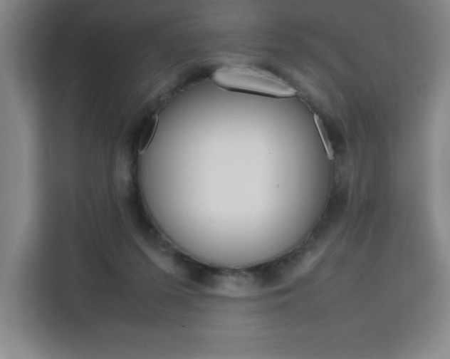 X0000111470215200907131245