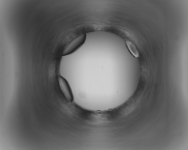 X0000111470221200907131245
