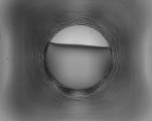 X0000111470223200907131245