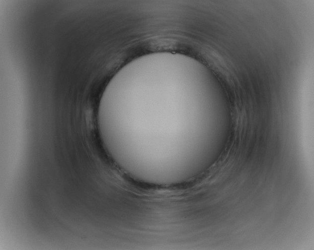 X0000111470224200907131245