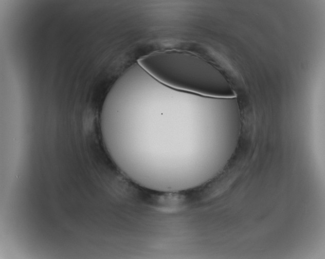 X0000111470225200907131245