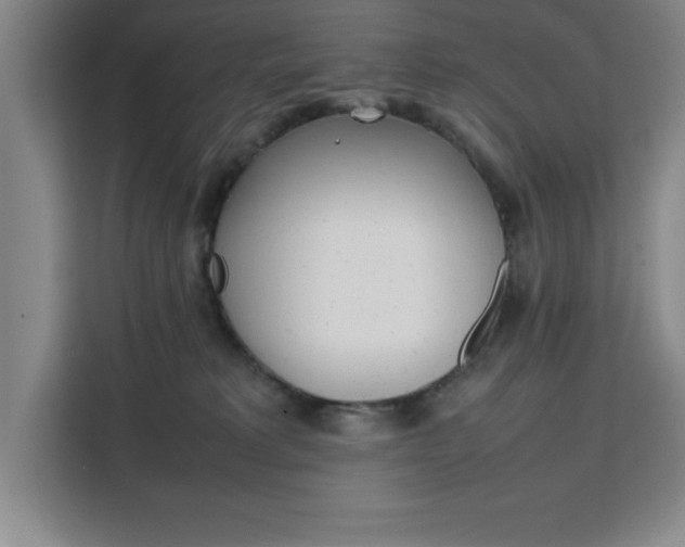X0000111470229200907131245