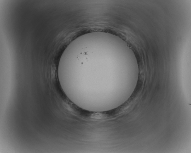 X0000111470231200907131245