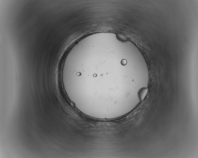 X0000111470242200907131244