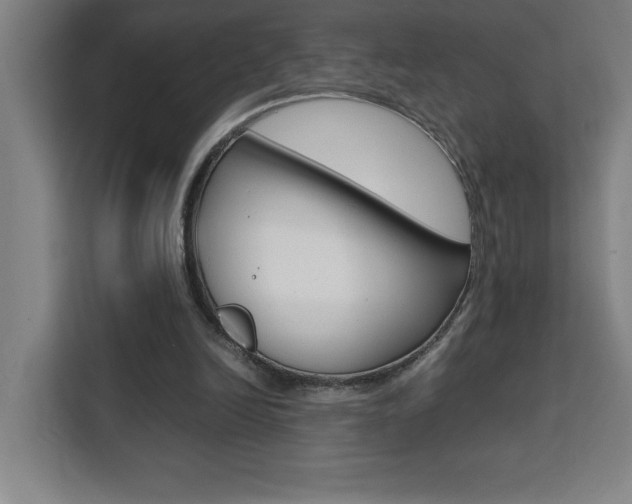 X0000111470246200907131244