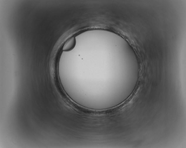 X0000111470247200907131244