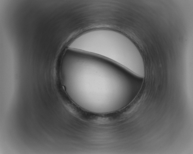 X0000111470256200907131244