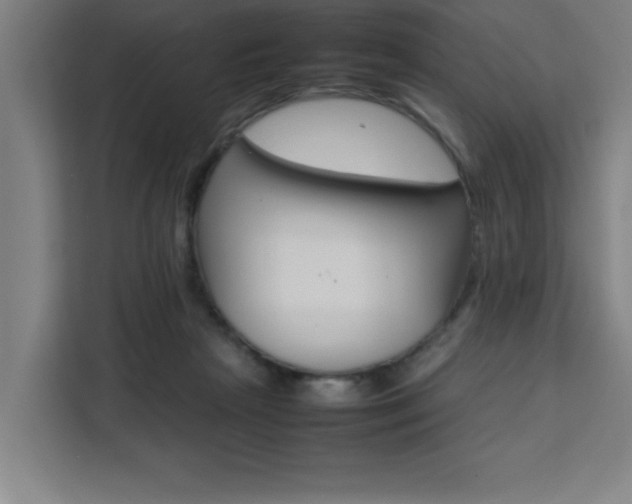 X0000111470265200907131244