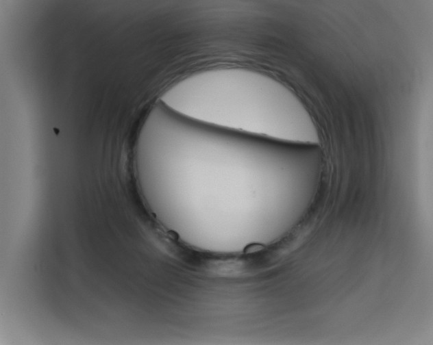 X0000111470266200907131244