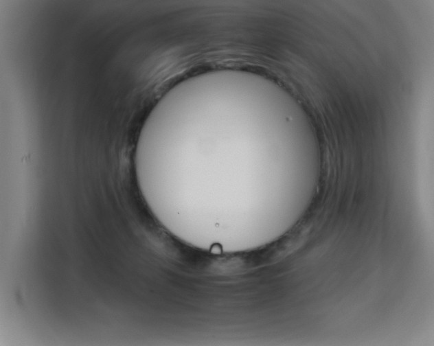X0000111470271200907131244