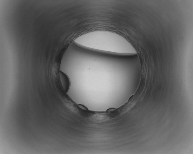 X0000111470280200907131244
