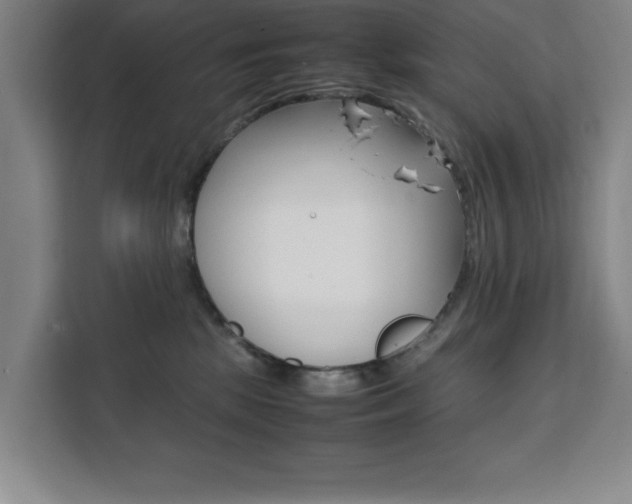 X0000111470281200907131244
