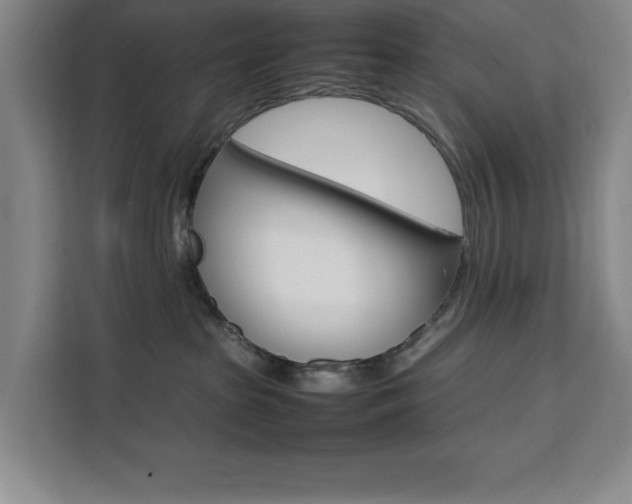 X0000111470285200907131244