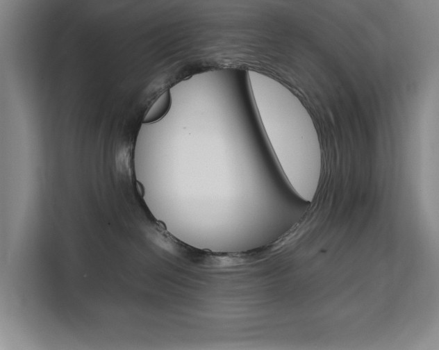 X0000111470286200907131244