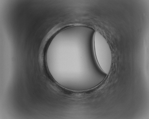 X0000111470295200907131244