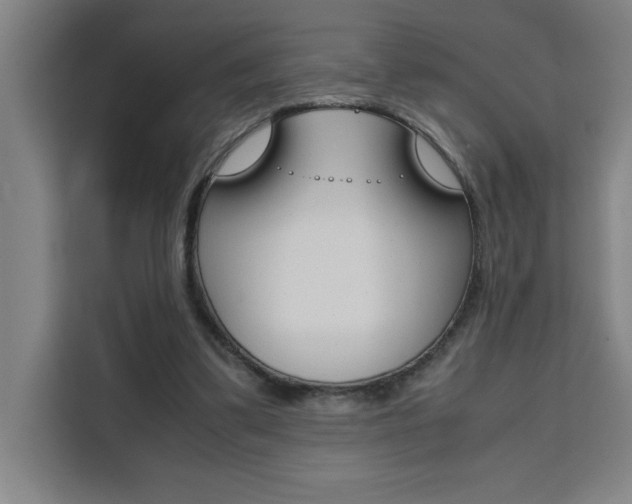 X0000111470299200907131244