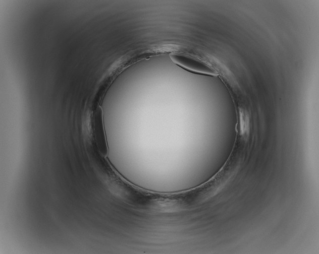 X0000111470300200907131244