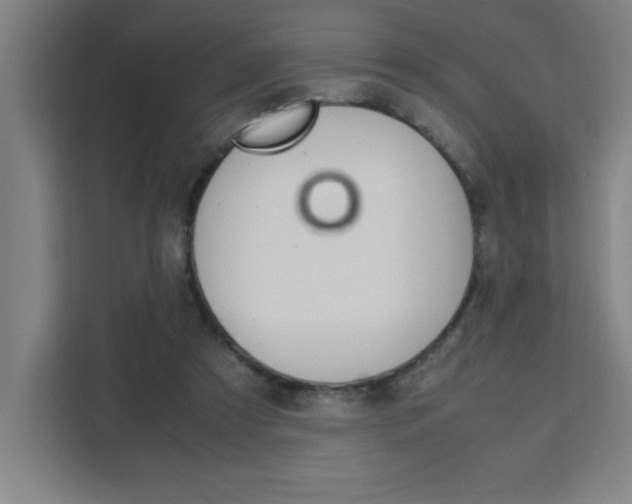 X0000111470305200907131244