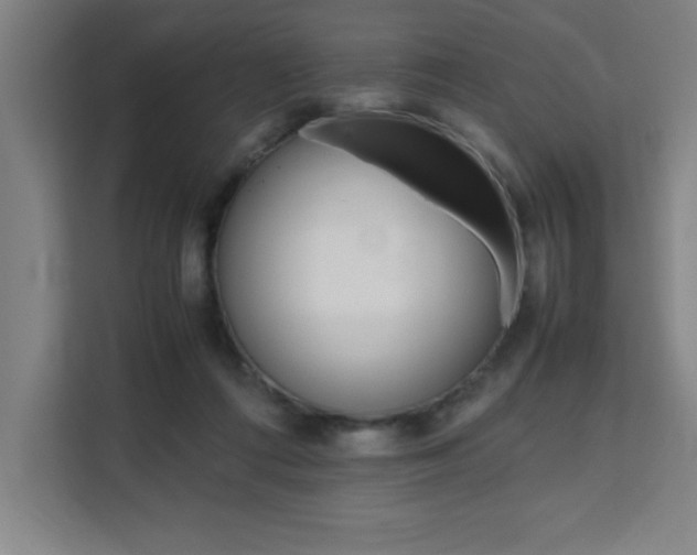 X0000111470312200907131244
