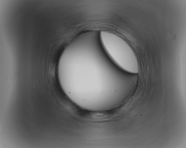 X0000111470315200907131243