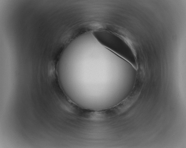 X0000111470320200907131243