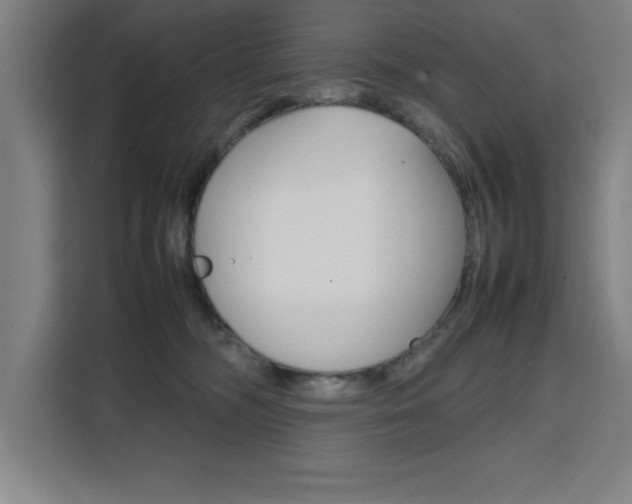 X0000111470326200907131243
