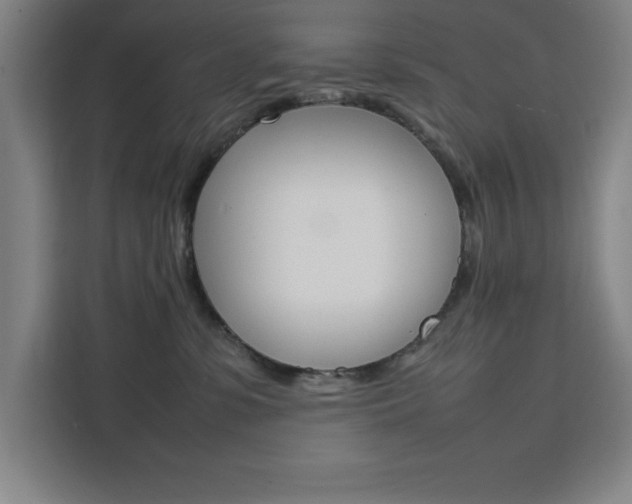 X0000111470331200907131243